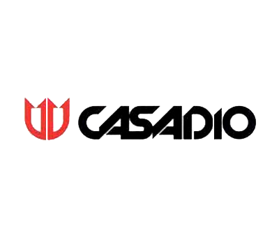 Ремонт Casadio