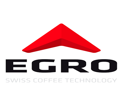Ремонт Egro