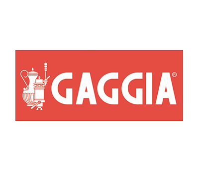 Ремонт Gaggia